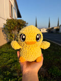 duck