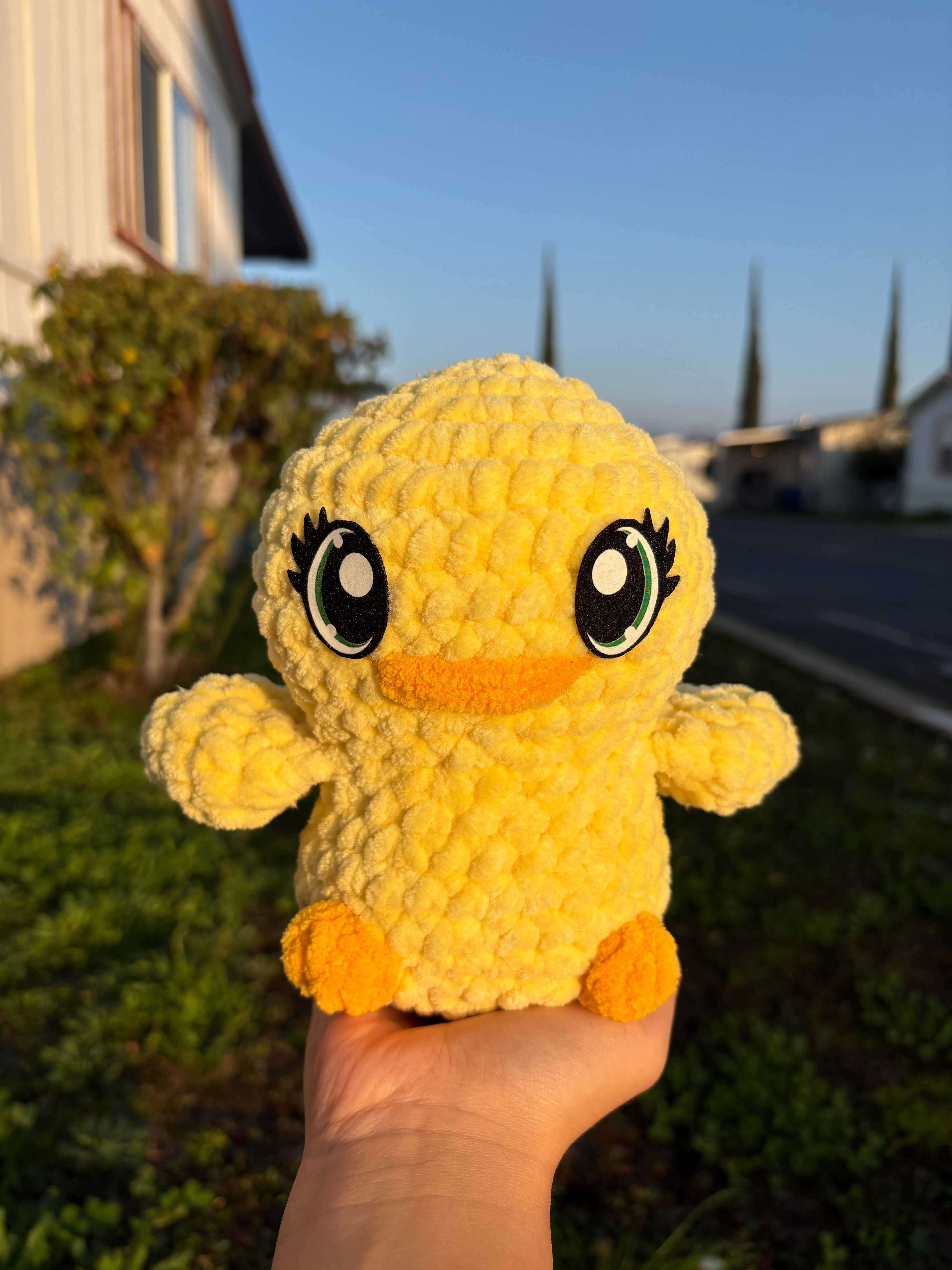duck