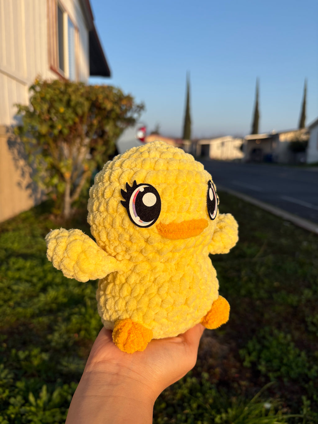 duck