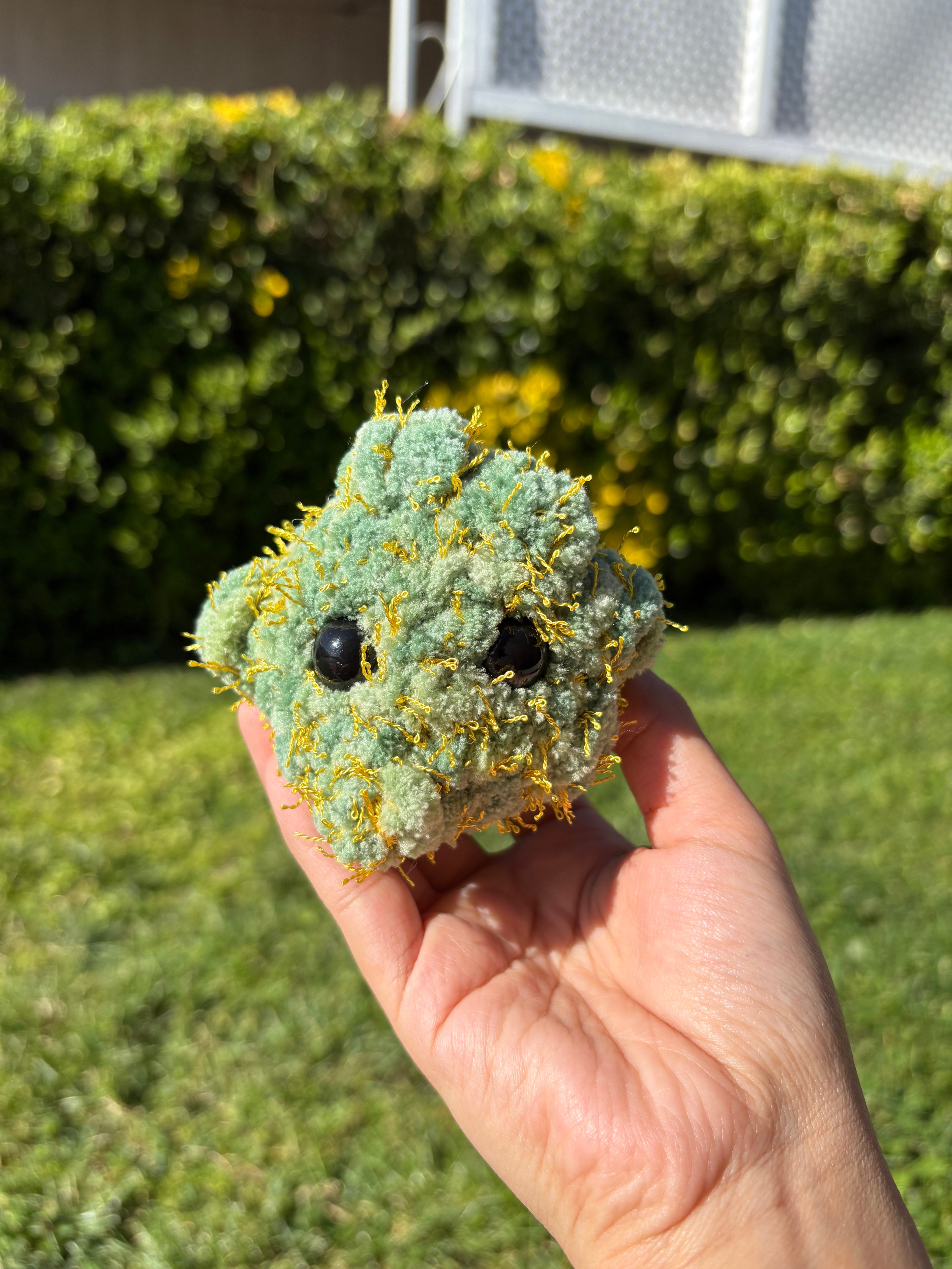 Nuggies